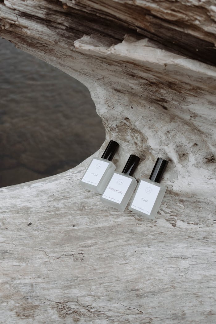 Stylish perfume bottles arranged on driftwood, perfect for product display.