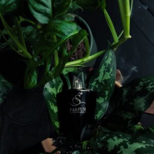 Black perfume bottle surrounded by vibrant green leaves for a fresh, natural aesthetic.